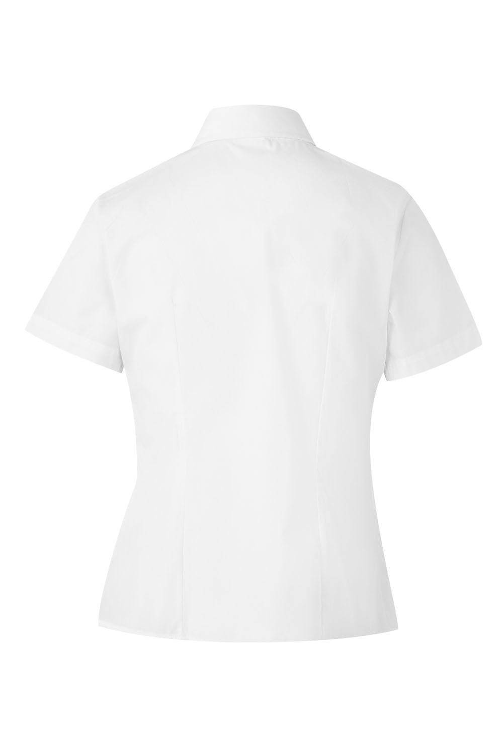 CAMISA MANGA CURTA ICHEVAN