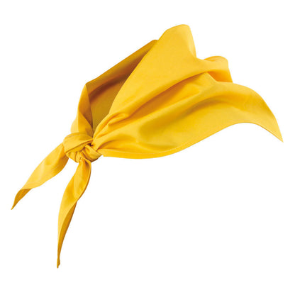 LENÇO EDD