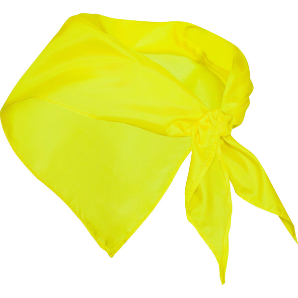 LENÇO PARNU