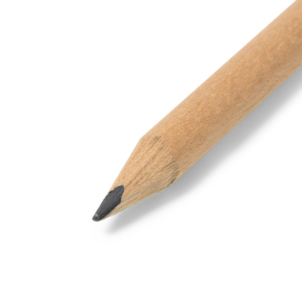 MINI LÁPIS PUCÓN