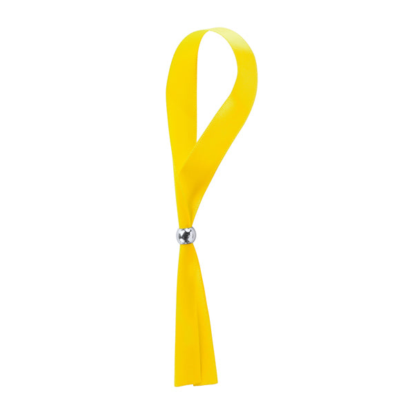 PULSEIRA RISHIKESH